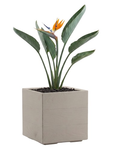 Howhomely blumenkübel - howhomely,