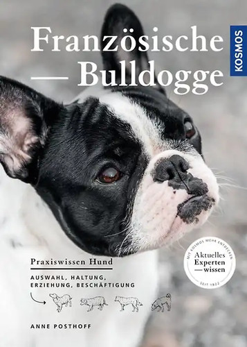 Französische bulldogge - französische,