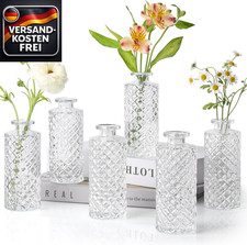 Kleine Glasvasen Set 6 Stück