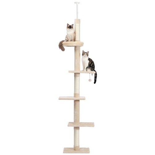 Pawz road katzenbaum - pawz,
