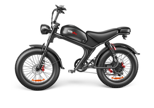 1000w elektrofahrrad 48v 20ah - elektrofahrrad,