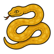 9X9 Car Sticker Yellow Snake