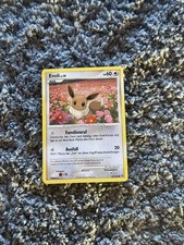 Pokemon Karte Evoli lv. 14