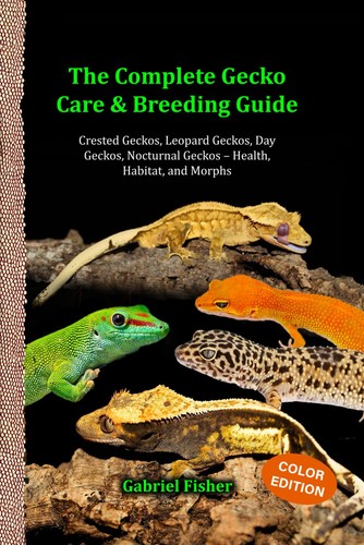 Gecko pflege zucht - pflege,