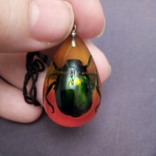 Grün schillernder Skarabäus