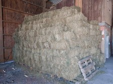 Heu HD Ballen  Heuballen Wiesenheu Ungedüngt Ernte 2024 Preis pro Ballen Sisal