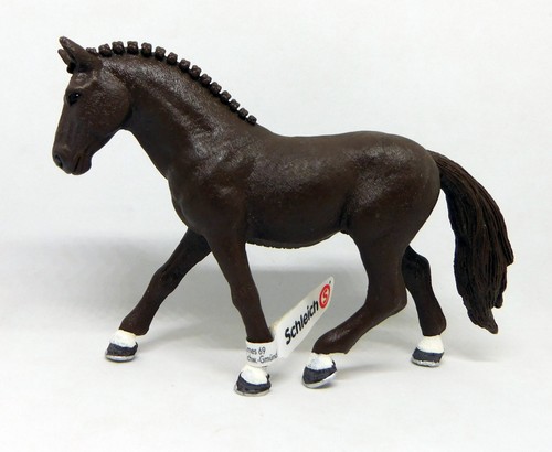Deutsches reitpony wallach - deutsches,