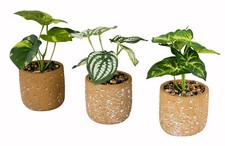3er Set Grüne Kunstpflanze H18cm Terrakotta Topf Deko Zimmer Pflanzen Tischdeko
