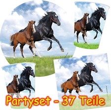 Pferde pony party set 37 - pferde,