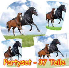 PFERDE PONY PARTY SET - 37