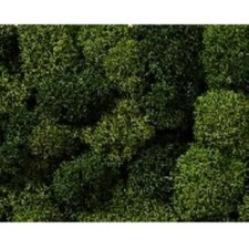 Noch 08610 Dekormoos