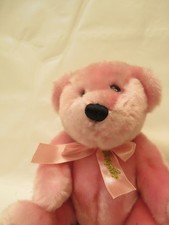 X-39389	Douglas Teddy Bär, H. sitzend ca. 17 cm, guter Zustand