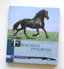 Friesenpferde. Reiten. Fahren