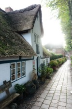 Fuji FinePix A170/ 10 MP / 32-96mm f3,1-5,6 /  Getestet  ( 1240 )