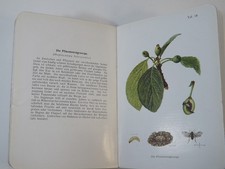 Otto Appel Atlas Krankheiten