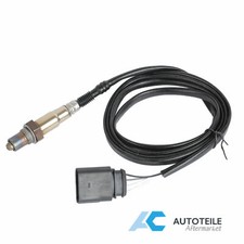 Lambdasonde Nach Kat