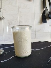 Weizensauerteig, 100g Anstellgut