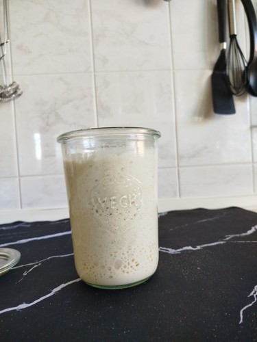 100g weizensauerteig - 100g,