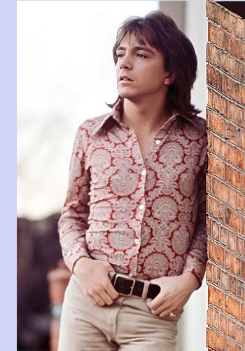 David cassidy konvolut 5 - david,