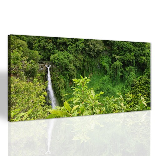 Wasserfall regenwald canvas - im,