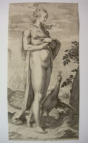 Van swanenburg juno mit - w.,