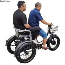 20 Zoll 500W 48V Fracht