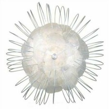 EGLO Edi Light 52192 Toxic