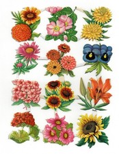 Alte Stammbuchbilder