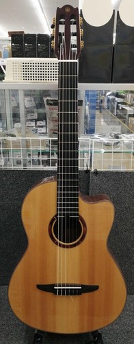 Yamaha ncx5 konzertgitarre - yamaha, e-konzertgitarre