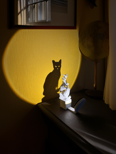 Schattenlampe katze - schattenlampe,