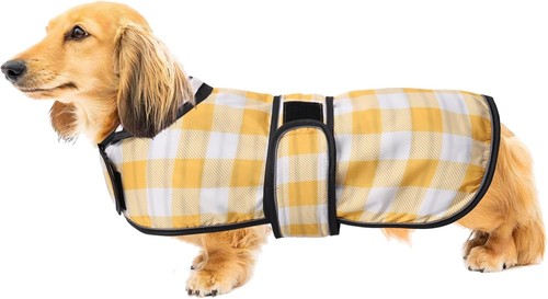 Hunde regenmantel dackel - regenmantel,