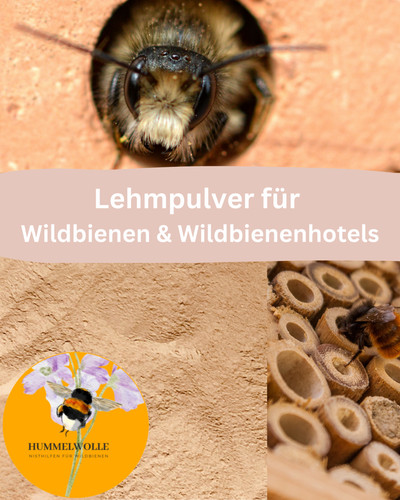 Lehmpulver für wildbienen - lehmpulver,