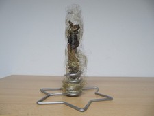 Weihnachtsdeko - Sandra Rich Glas befüllt - auf Metallweihnachtsstern