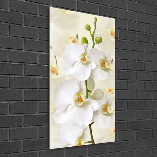 Wandbild druck auf plexiglas - druck,