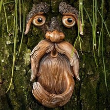 Baum gesicht vogel feeder - baum,