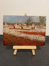 Vintage Postkarte Erfurt