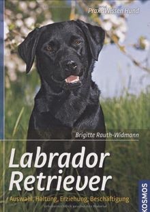 Labrador retriever auswahl - labrador,