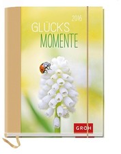 Glücksmomente 2016: Terminplaner mit Einstecktasche, Leseband, Gummibandver