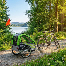 2in1 Fahrradanhänger Kinderwagen Grün Grau für 1 bis 2 Kinder Fahne und Klupplun