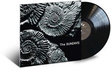 The Sundays - Reading Writing