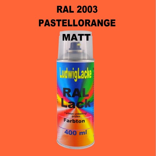 Ral spraydose matt - ral, sprühdose