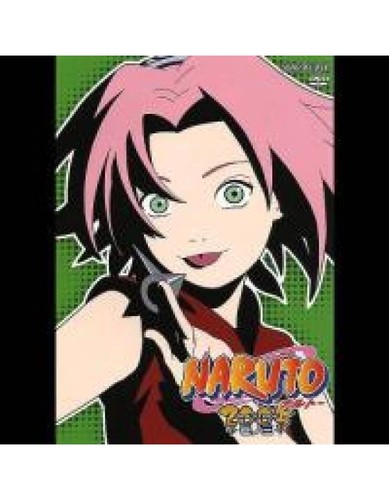Dvd naruto vol 22 episoden - dvd,