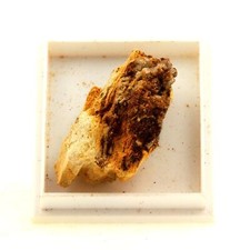 Steine und Mineralien