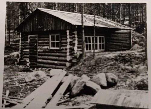 Blockhaus wald haus - wald, wohnhaus
