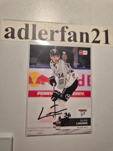 Del 2024 2025 signiert - 2024-2025,