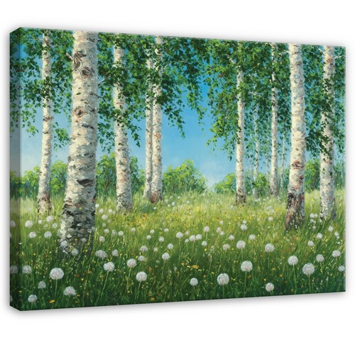 Leinwand bilder birken wald - bilder,