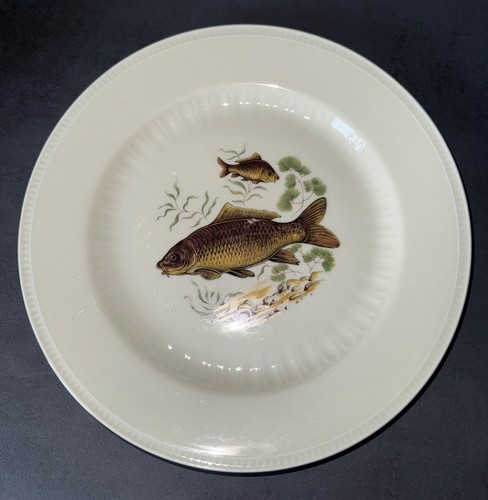 Teller fisch forelle - fisch, barsch