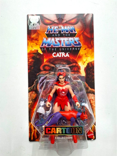 Man masters the universe - he-man,