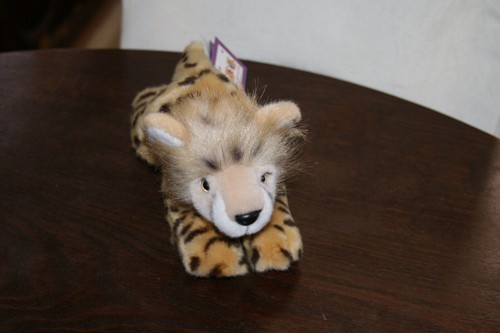 Gepard liegend 23 - gepard,, cm