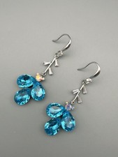 Elegante Ohrringe mit